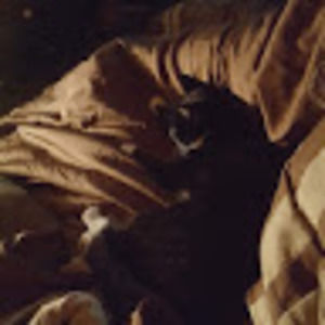 Meet your Posher, Juliet